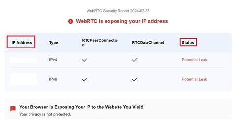 webrtc leak|Test de fuite WebRTC 